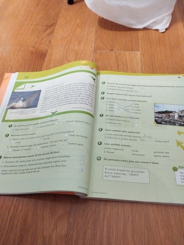 Libro euskera 9788483949320 euskarapolis