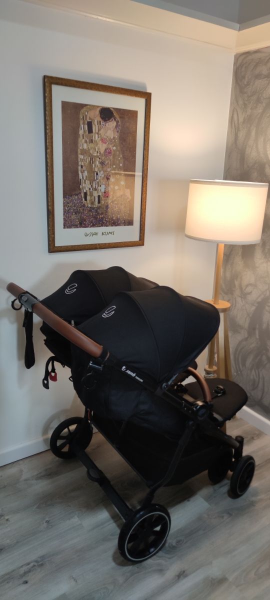 Carro gemelar Jane Twinlink