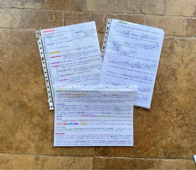 Apuntes lengua y literatura 2ºBach Castilla y León