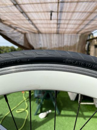 Bicicleta fixie carbono