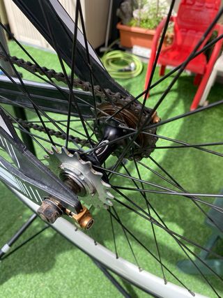 Bicicleta fixie carbono