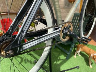 Bicicleta fixie carbono