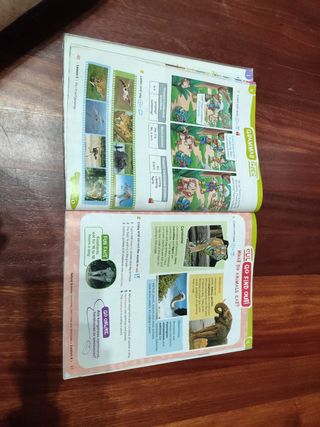 Libros 3 primaria Inglés Richmond