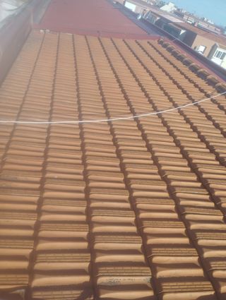 Teja plana de Borja de segunda mano