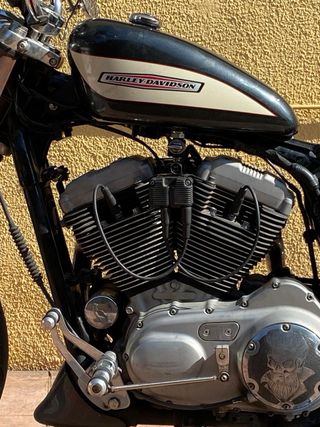 Harley davidson sportster roadster 1200 carb 2005