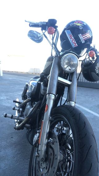 Harley davidson sportster roadster 1200 carb 2005