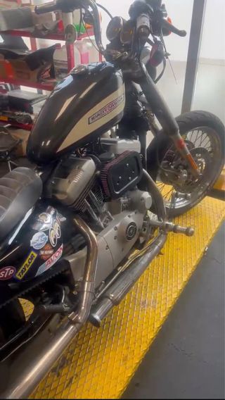 Harley davidson sportster roadster 1200 carb 2005