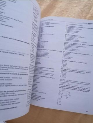 Artquiz giallo edizione XIV Tolc Med