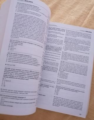 Artquiz giallo edizione XIV Tolc Med