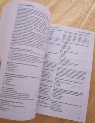 Artquiz giallo edizione XIV Tolc Med