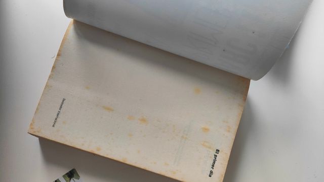 Libro El primer día de Marc Levi