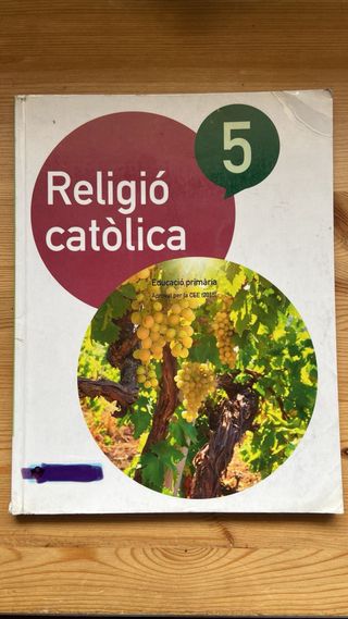 religio catolica 5 de primaria