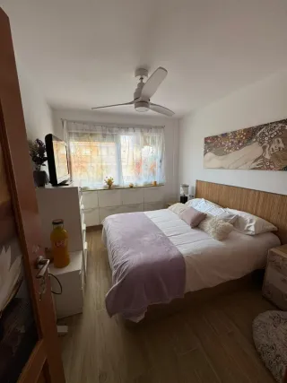 Alquilo apartamento (vacacional)