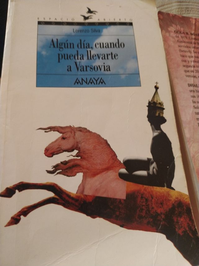 Algun dia, cuando pueda llevarte a Varsovia ANAYA