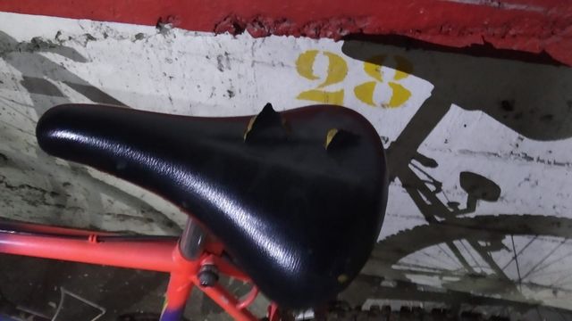 Bicicleta de montaña protonic