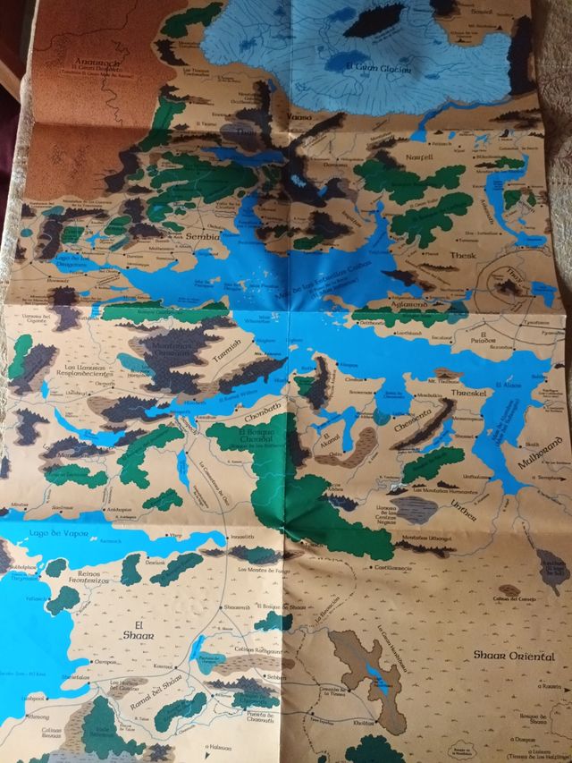 Vademécum de campaña dungeons & dragons