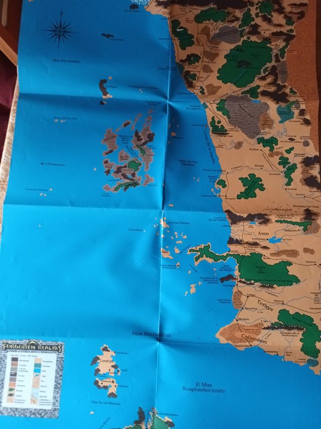 Vademécum de campaña dungeons & dragons