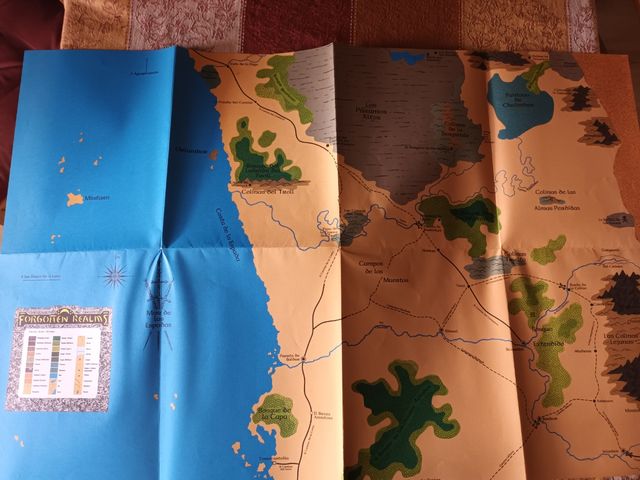 Vademécum de campaña dungeons & dragons