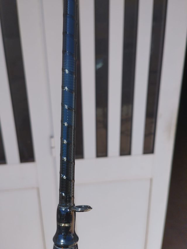 Caña boloñesa Vercelli EVASION_7m_Carbono HM