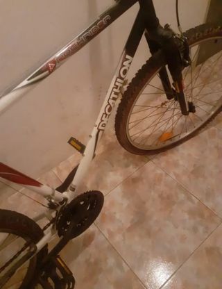 Bicicleta 