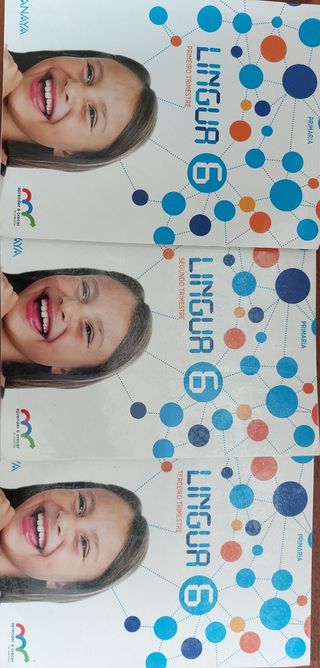 Lingua 6 primaria Anaya