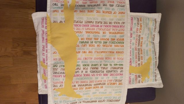 2 Cojines- Infantil Zara Home