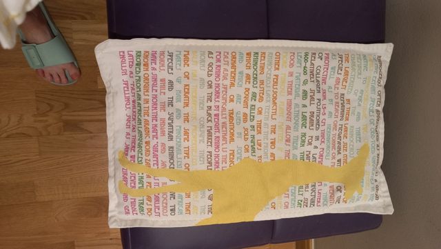 2 Cojines- Infantil Zara Home