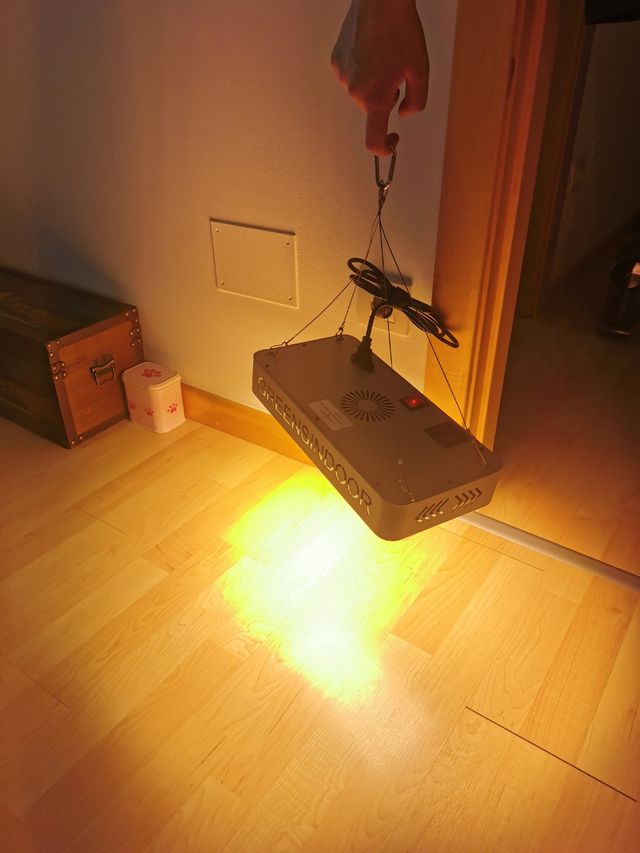 Lampara crece plantas Greensindoor