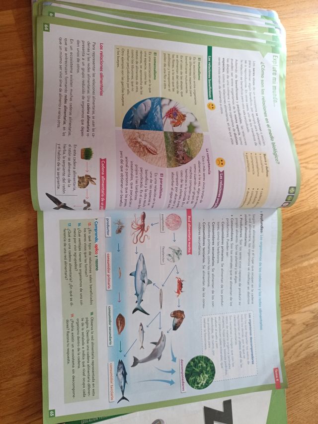 Naturales 5 primaria Vicens Vives