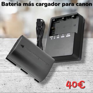 Batteria più caricabatterie per canon