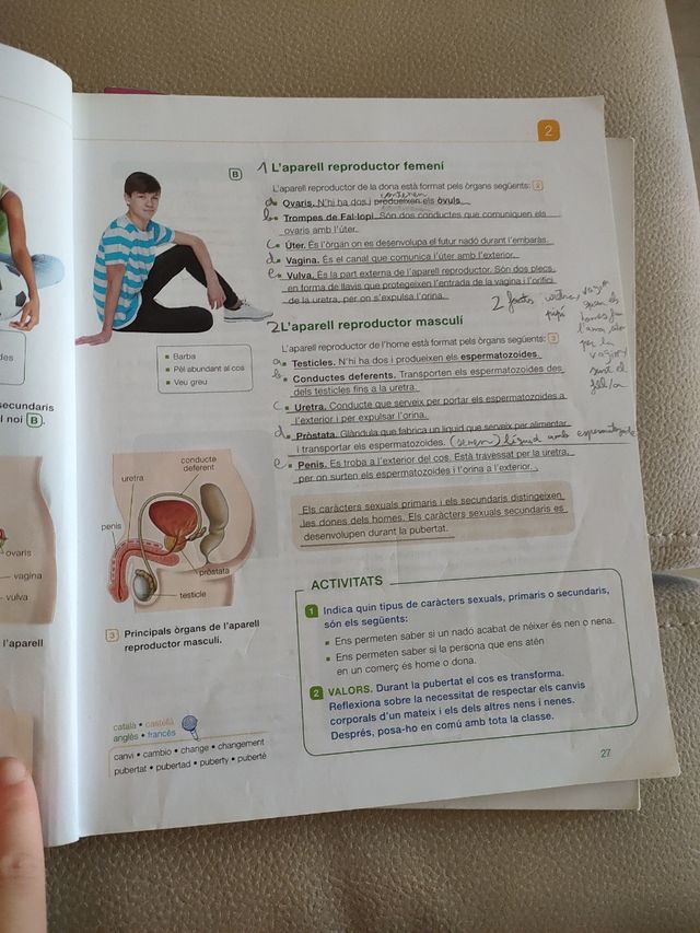 Coneixement del medi natural 6 primària