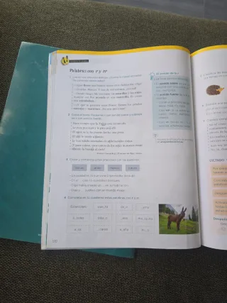 Tercero de primaria lengua. Los tres trimestres