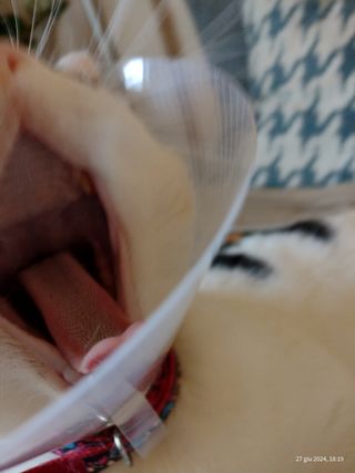 Piastra per capelli Imetec