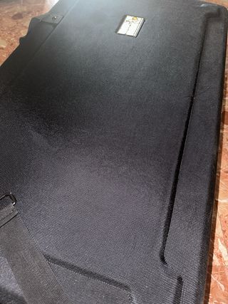 Pioneer FLX10 + Walkasse
