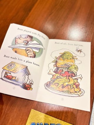 Lote de 4xlibros colección Fly Guys (1-4)