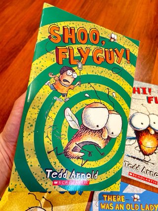 Lote de 4xlibros colección Fly Guys (1-4)