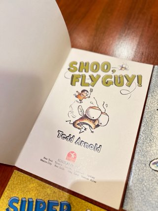 Lote de 4xlibros colección Fly Guys (1-4)
