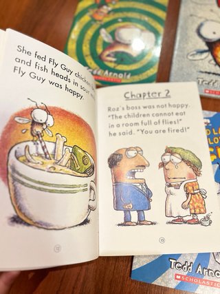 Lote de 4xlibros colección Fly Guys (1-4)