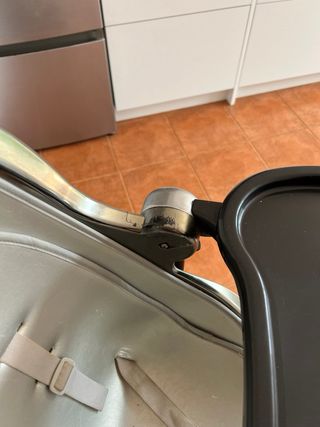 Trona bloom titanium