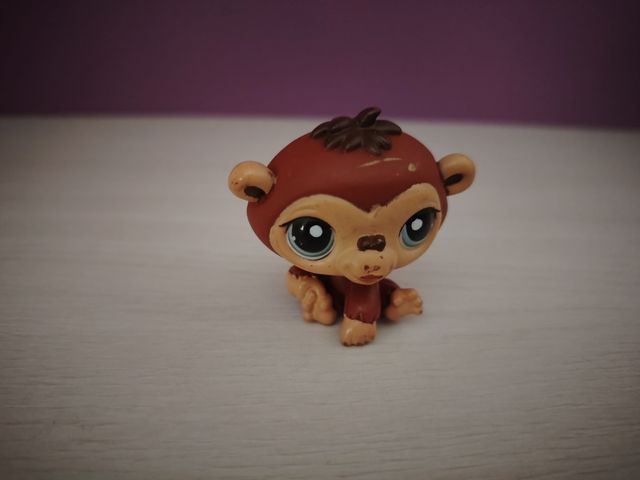 Giocattolo da parco Pept Shop