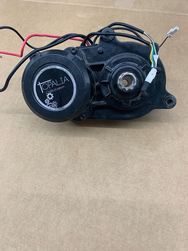 Motore OLI per Olympia 2023