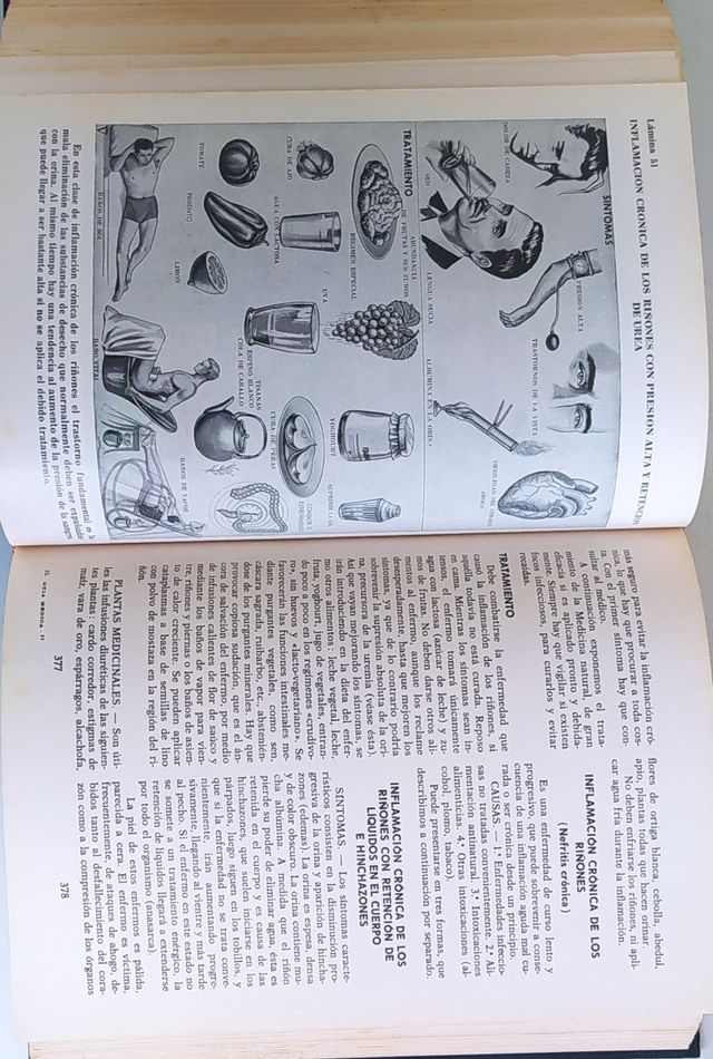GUIA MEDICA DEL HOGAR - OBRA COMPLETA