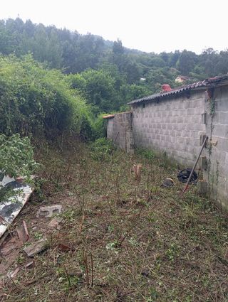 Desbrocesy limpieza de fincas J.J