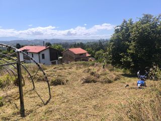 Desbrocesy limpieza de fincas J.J