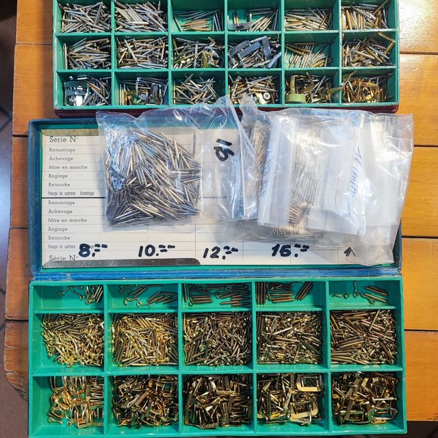 Set di fibbie e anse per orologi