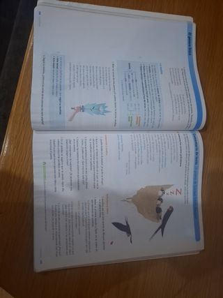 Libro lengua castellana 1°ESO