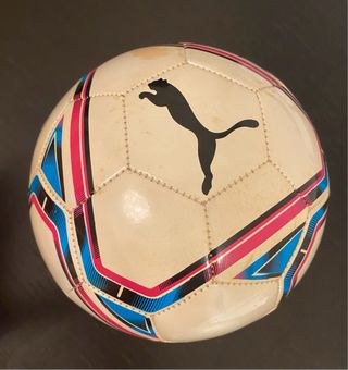 Palla Puma diametro 16 cm