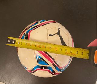 Palla Puma diametro 16 cm