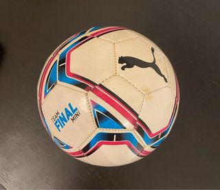 Palla Puma diametro 16 cm