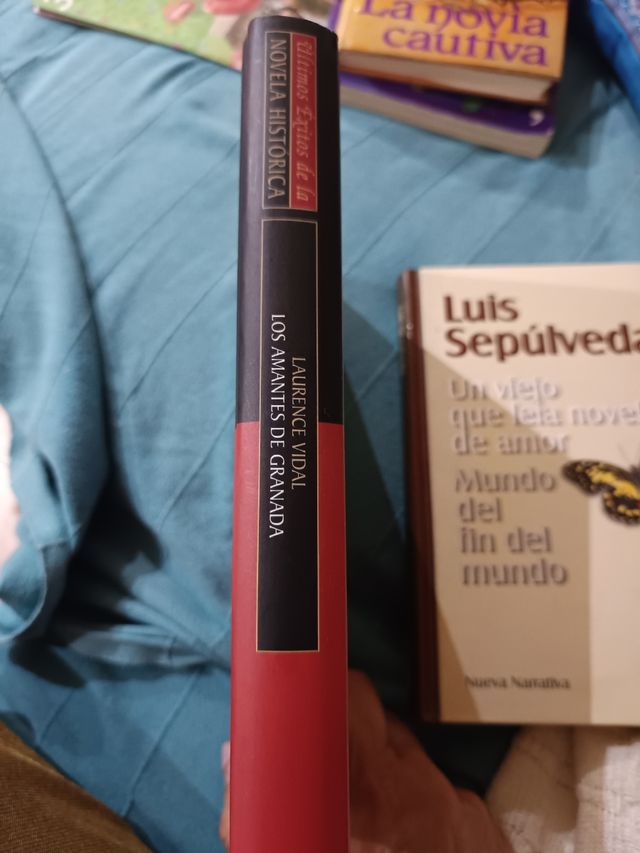 Los amantes de Granada. Laurence Vidal.